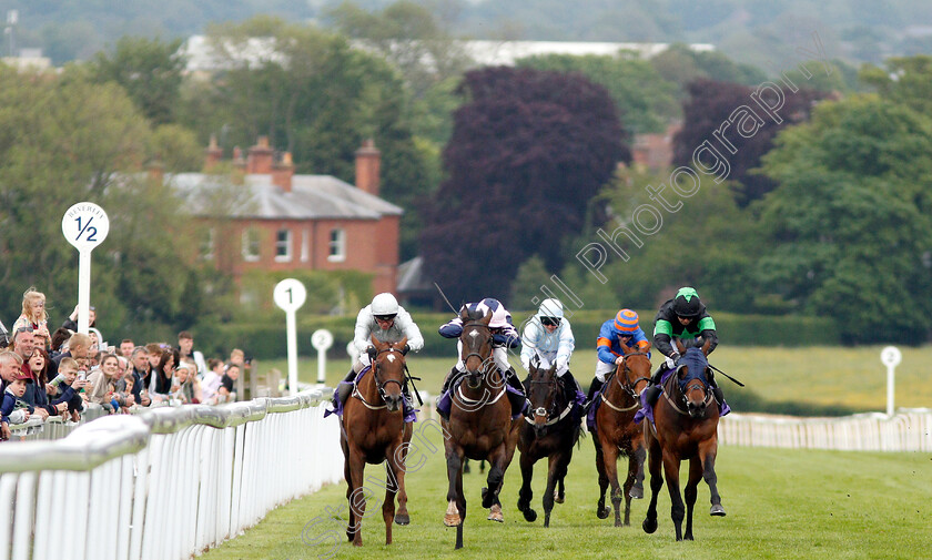 Agravain-0002 
 AGRAVAIN (2nd left, David Allan) beats STONE COUGAR (left) in The Cottingham Handicap
Beverley 29 May 2019 - Pic Steven Cargill / Racingfotos.com