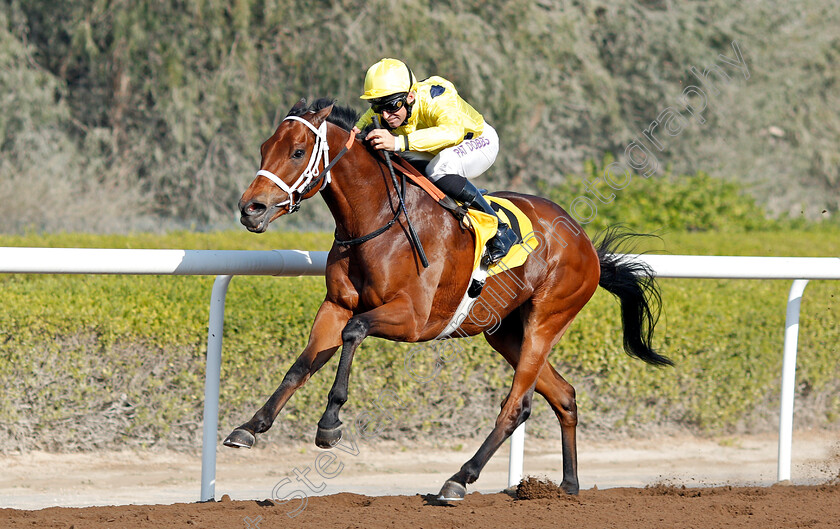 Just-A-Penny-0004 
 JUST A PENNY (Pat Dobbs) wins The Emirates Airline Handicap Jebel Ali, Dubai 9 Feb 2018 - Pic Steven Cargill / Racingfotos.com