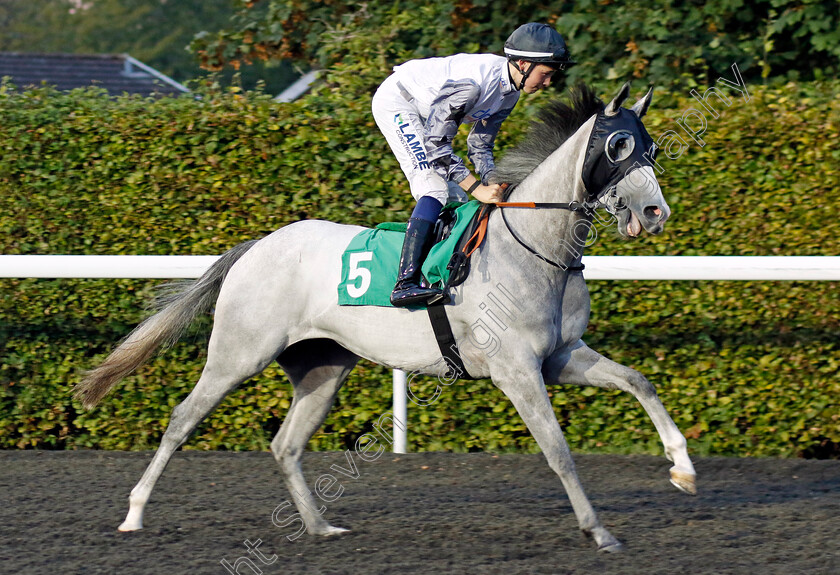 Ivory-Madonna-0001 
 IVORY MADONNA (Billy Loughnane)
Kempton 8 Sep 2023 - Pic Steven Cargill / Racingfotos.com