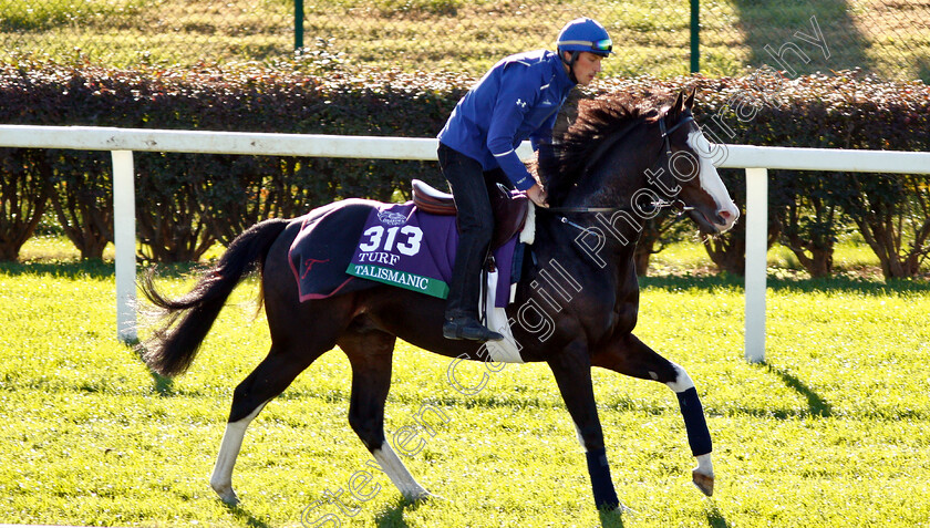 Talismanic-0001 
 TALISMANIC exercising ahead of the Breeders' Cup Turf 
Churchill Downs USA 29 Oct 2018 - Pic Steven Cargill / Racingfotos.com