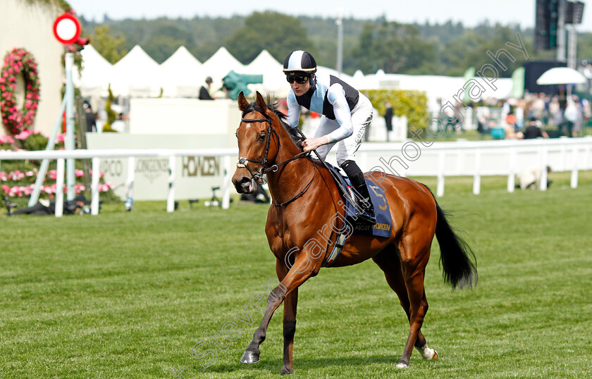 Naval-Force-0001 
 NAVAL FORCE (Gavin Ryan)
Royal Ascot 20 Jun 2024 - Pic Steven Cargill / Racingfotos.com