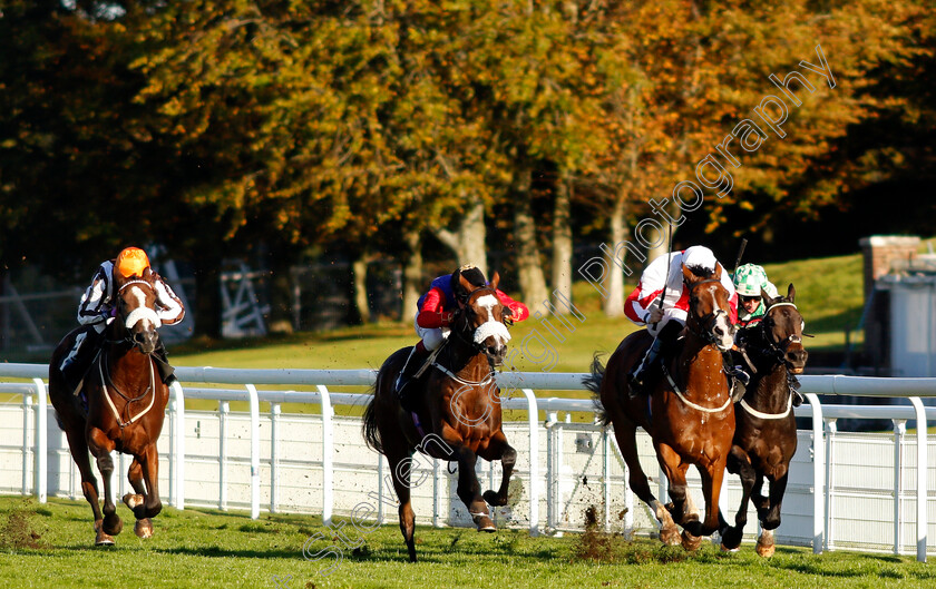 Natural-History-0001 
 NATURAL HISTORY (centre, Oisin Murphy) beats GOSHEN (2nd right) SPEED COMPANY (right) and HYANNA (left) in The Join tote.co.uk Handicap
Goodwood 11 Oct 2020 - Pic Steven Cargill / Racingfotos.com