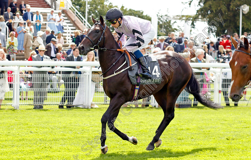 Union-Island-0001 
 UNION ISLAND (William Buick)
Goodwood 1 Aug 2023 - Pic Steven Cargill / Racingfotos.com