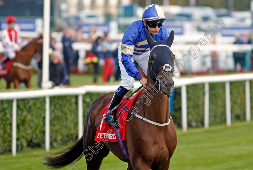 Quantum-Leap-0001 
 QUANTUM LEAP (P J McDonald)
Doncaster 13 Sep 2024 - Pic Steven Cargill / Racingfotos.com