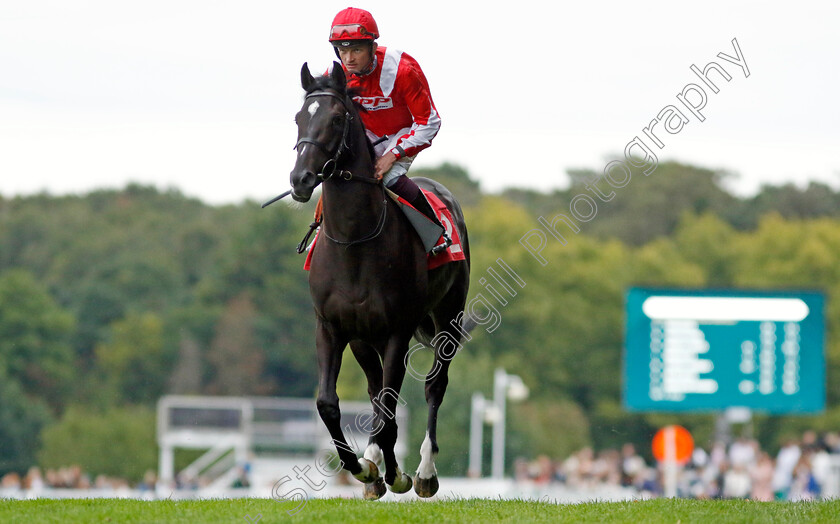 Berkshire-Smudge-0001 
 BERKSHIRE SMUDGE (Rob Hornby)
Sandown 8 Aug 2024 - Pic Steven Cargill / Racingfotos.com