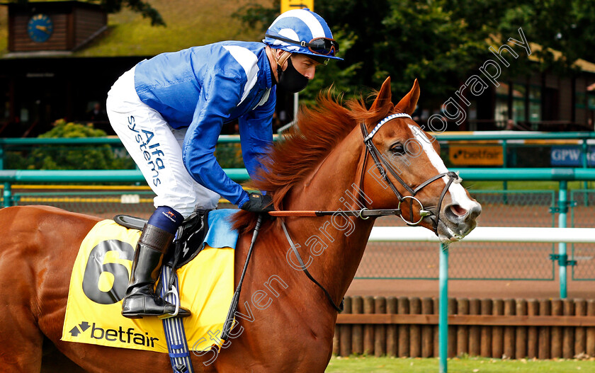 Tabdeed-0002 
 TABDEED (Jim Crowley)
Haydock 5 Sep 2020 - Pic Steven Cargill / Racingfotos.com