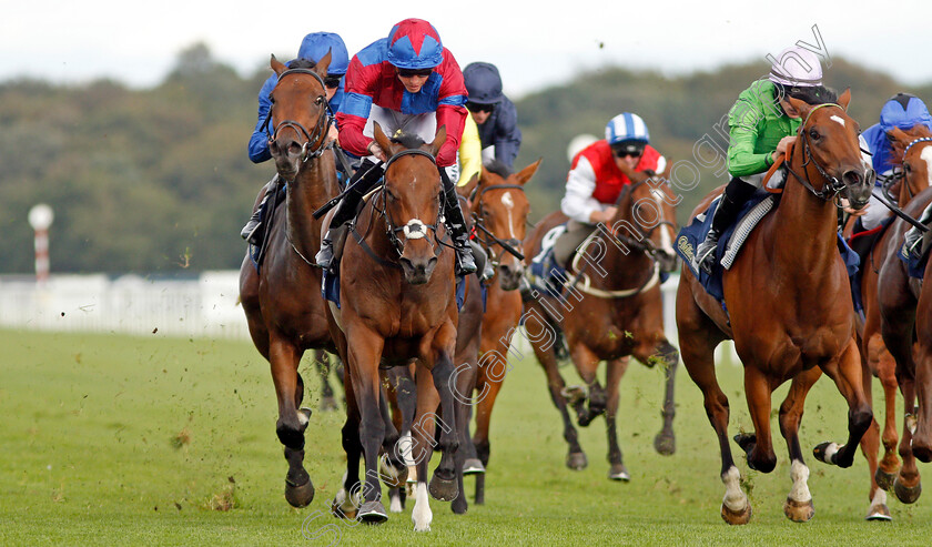 Powerful-Breeze-0004 
 POWERFUL BREEZE (left, James Doyle) beats BOOMER (right) in The William Hill May Hill Stakes
Doncaster 12 Sep 2019 - Pic Steven Cargill / Racingfotos.com