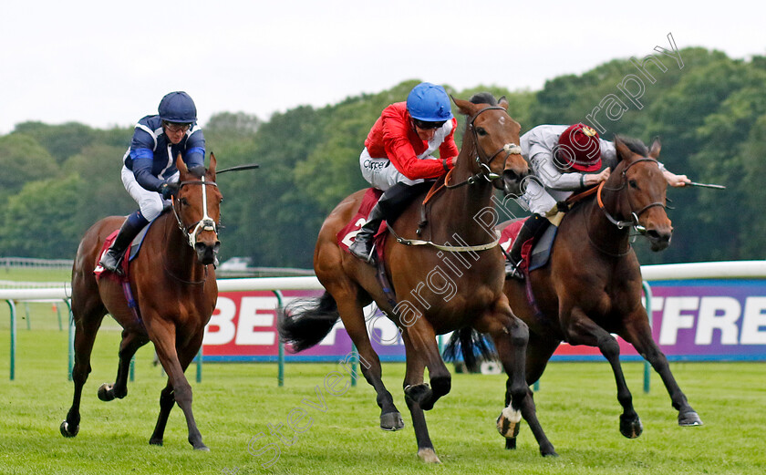 Never-Ending-0004 
 NEVER ENDING (Daniel Tudhope) beats DOHA (right) in The Betfred Macmillan Race Day Handicap
Haydock 24 May 2024 - Pic Steven Cargill / Racingfotos.com