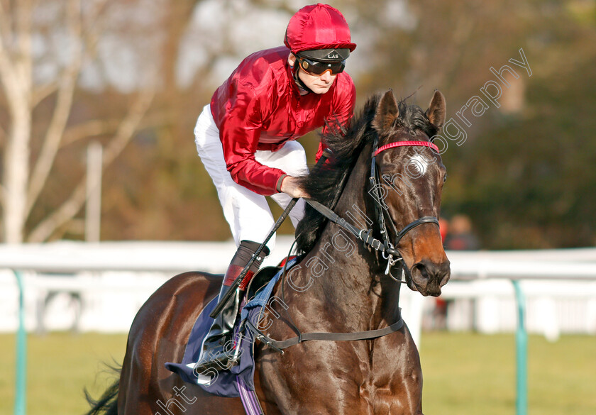 Disco-Fever-0003 
 DISCO FEVER (Robert Havlin) winner of The Ladbrokes EBF Fillies Novice Stakes
Lingfield 18 Dec 2019 - Pic Steven Cargill / Racingfotos.com