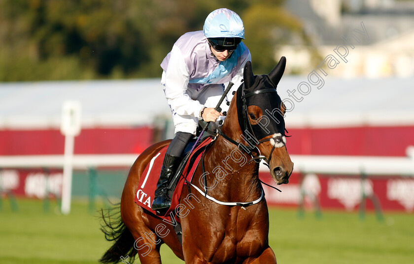 Term-Of-Endearment-0002 
 TERM OF ENDEARMENT (A Pouchin)
Longchamp 5 Oct 2034 - Pic Steven Cargill / Racingfotos.com