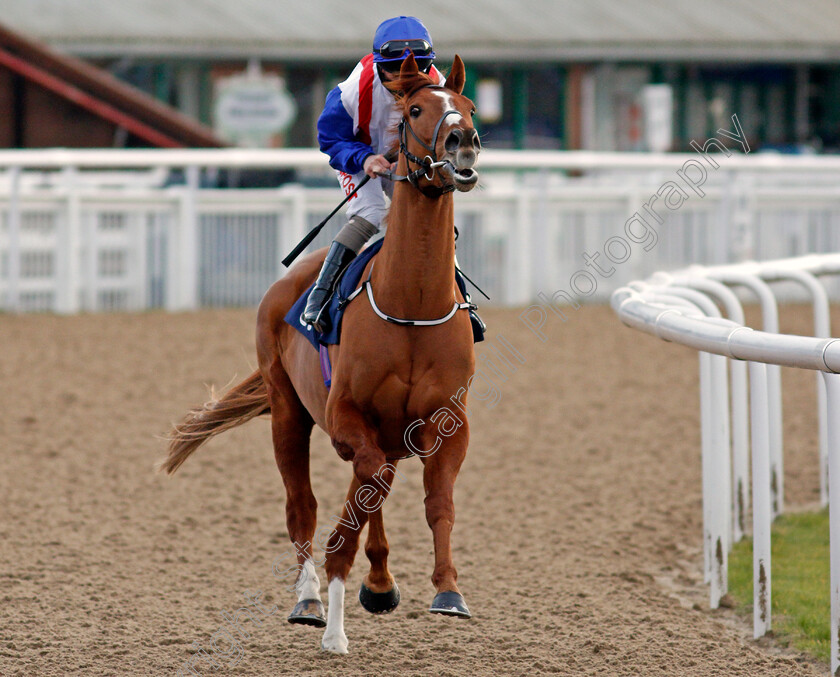 Raffles-Rebel-0001 
 RAFFLES REBEL (Franny Norton)
Wolverhampton 12 Mar 2021 - Pic Steven Cargill / Racingfotos.com