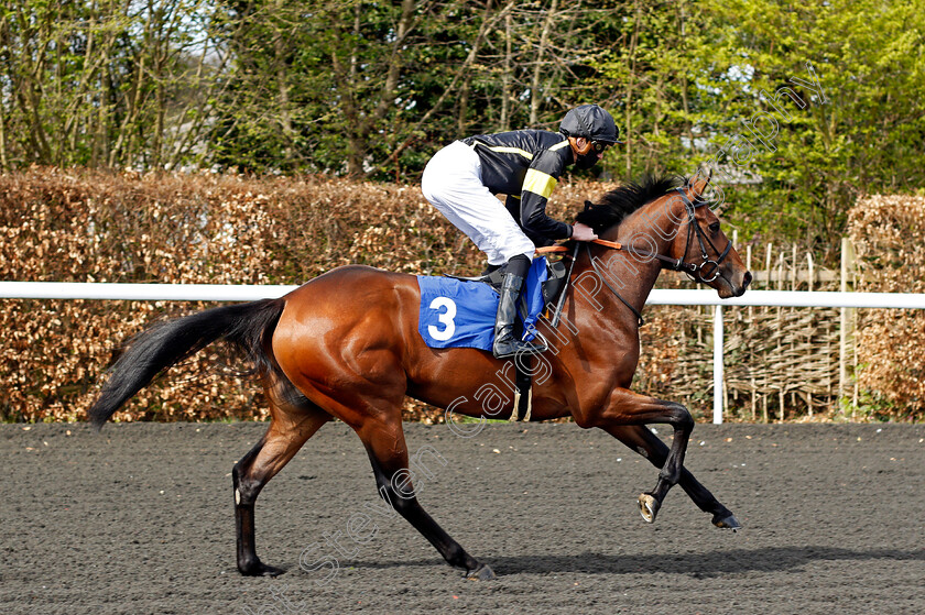 Meng-Tian-0001 
 MENG TIAN (James Doyle)
Kempton 5 Apr 2021 - Pic Steven Cargill / Racingfotos.com