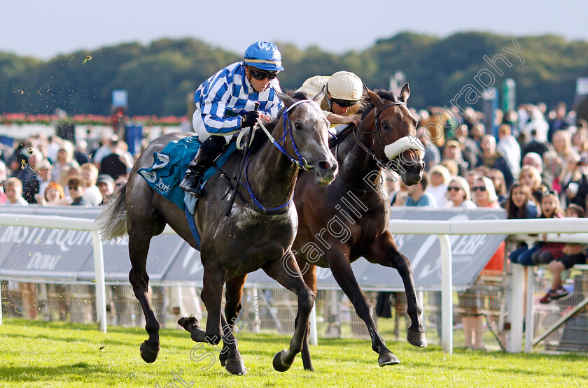 Silver-Sword-0003 
 SILVER SWORD (left, Greg Cheyne) beats CATCH THE PADDY (right) in The Sky Bet Mile Handicap
York 25 Aug 2023 - Pic Steven Cargill / Racingfotos.com