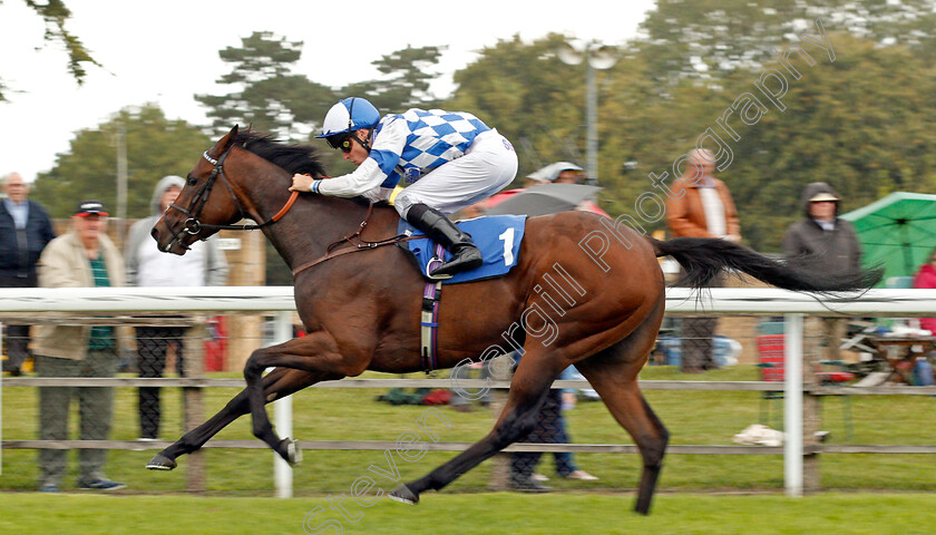 Clairette-0007 
 CLAIRETTE (Kieran Shoemark) wins The British EBF Quidhampton Maiden Fillies Stakes Div2 Salisbury 7 Sep 2017 - Pic Steven Cargill / Racingfotos.com