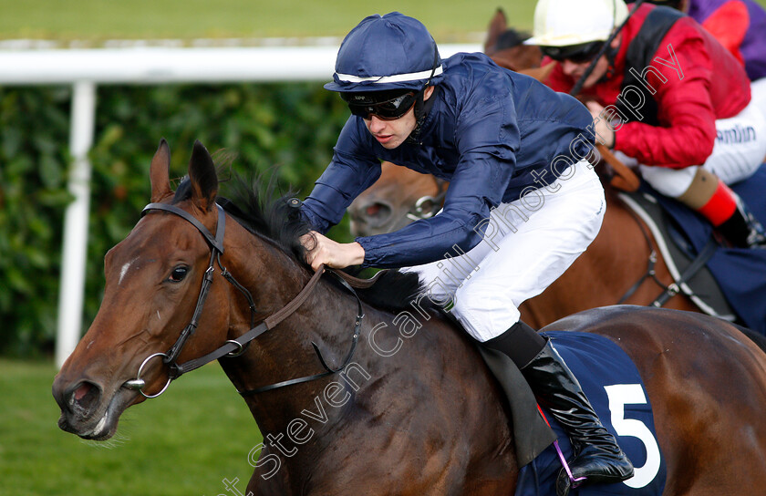 Fleeting-0006 
 FLEETING (Donnacha O'Brien) wins The William Hill May Hill Stakes
Doncaster 13 Sep 2018 - Pic Steven Cargill / Racingfotos.com