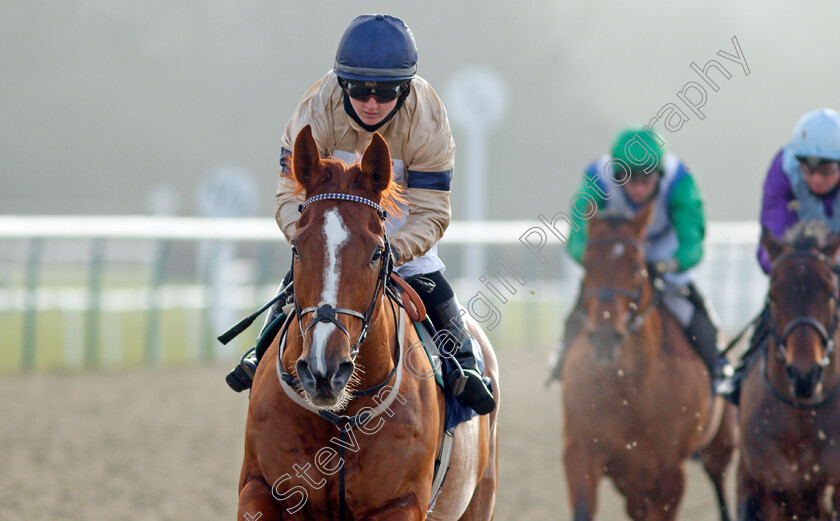 Going-Places-0011 
 GOING PLACES (Hollie Doyle) wins The Bombardier March To Your Own Drum Novice Stakes
Lingfield 9 Jan 2021 - Pic Steven Cargill / Racingfotos.com