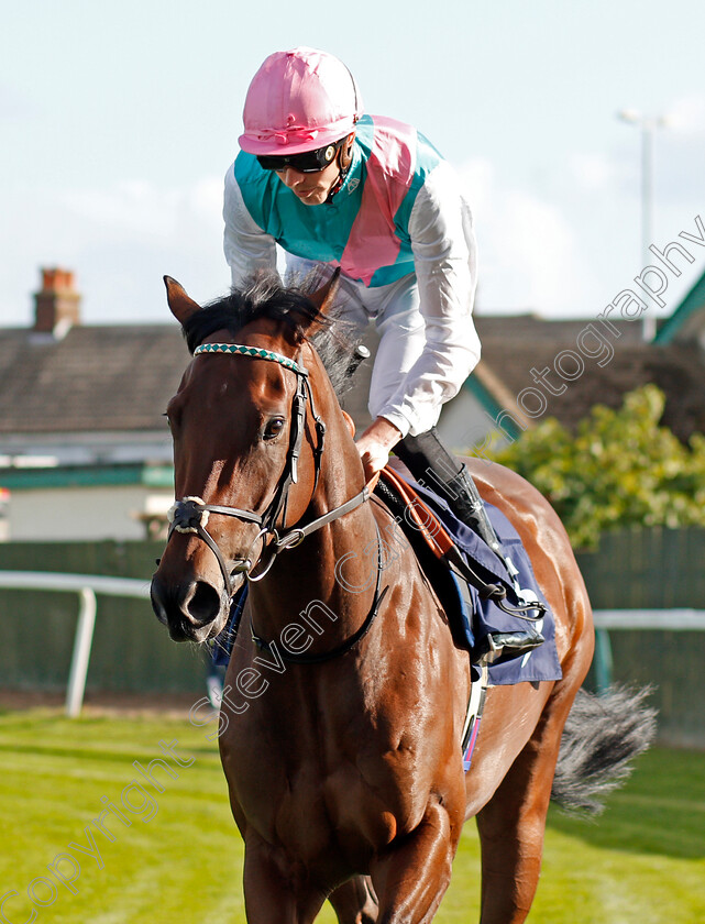 Imhotep-0001 
 IMHOTEP (James Doyle)
Yarmouth 17 Sep 2019 - Pic Steven Cargill / Racingfotos.com