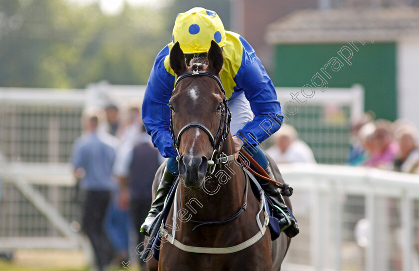 My-Dubawi-0001 
 MY DUBAWI (William Buick)
Yarmouth 16 Sep 2021 - Pic Steven Cargill / Racingfotos.com