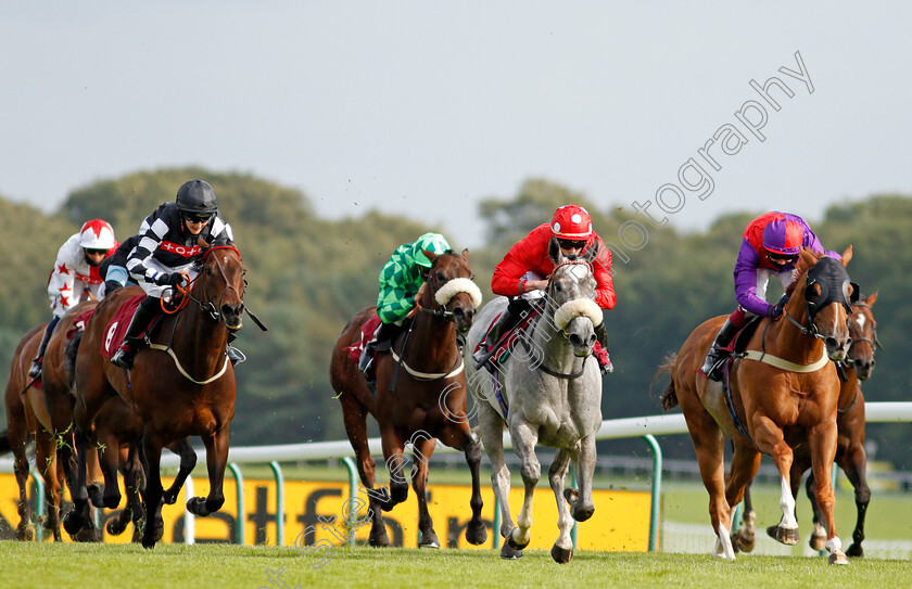 Shepherds-Way-0006 
 SHEPHERDS WAY (2nd right, Clifford Lee) beats SOMEWHERE SECRET (right) and FOX HILL (left) in The Betfair Exchange Handicap
Haydock 4 Sep 2020 - Pic Steven Cargill / Racingfotos.com