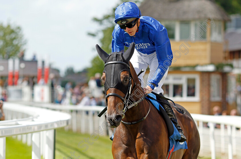 Valiant-Prince-0002 
 VALIANT PRINCE (James Doyle) winner of The Seat Unique Ganton Stakes
York 10 Jun 2022 - Pic Steven Cargill / Racingfotos.com