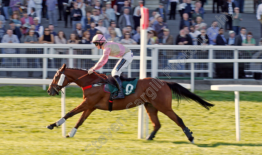 Magic-Dancer-0003 
 MAGIC DANCER (Richard Patrick) wins The Cheltenham Pony Racing Authority Graduates Handicap Hurdle Cheltenham 18 Apr 2018 - Pic Steven Cargill / Racingfotos.com