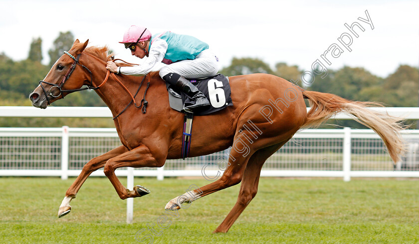 Pocket-Square-0005 
 POCKET SQUARE (Jason Watson) wins The Royal Foresters British EBF Fillies Novice Stakes
Ascot 7 Sep 2019 - Pic Steven Cargill / Racingfotos.com