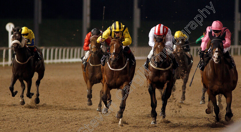 Self-Assessment-0001 
 SELF ASSESSMENT (centre, Ben Curtis) wins The Extra Places At totesport.com Handicap
Chelmsford 24 Oct 2019 - Pic Steven Cargill / Racingfotos.com