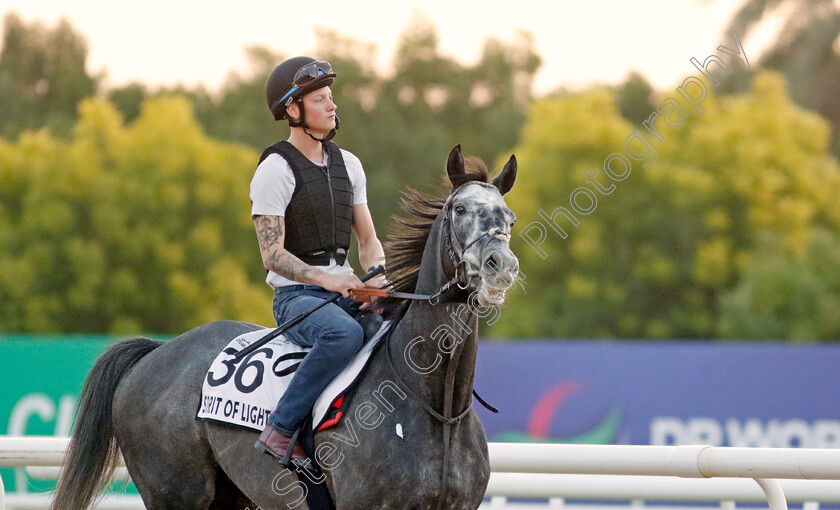 Spirit-Of-Light-0001 
 SPIRIT OF LIGHT training at the Dubai World Cup Carnival
Meydan 5 Jan 2023 - Pic Steven Cargill / Racingfotos.com