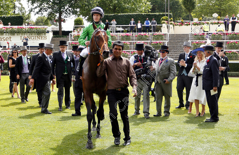 Arthur-Kitt-0011 
 ARTHUR KITT (Richard Kingscote) after The Chesham Stakes
Royal Ascot 23 Jun 2018 - Pic Steven Cargill / Racingfotos.com