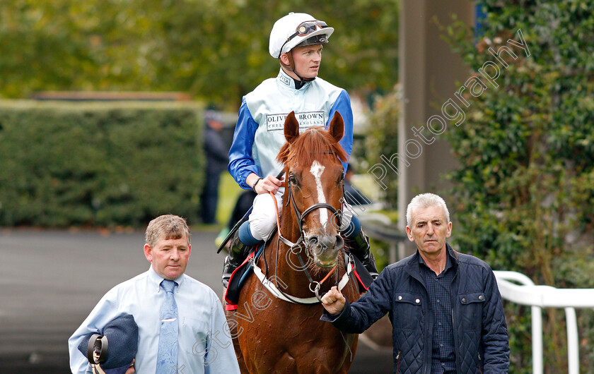 Ebury-0008 
 EBURY (Rob Hornby) after The Chapel Down Classified Stakes
Ascot 6 Sep 2019 - Pic Steven Cargill / Racingfotos.com