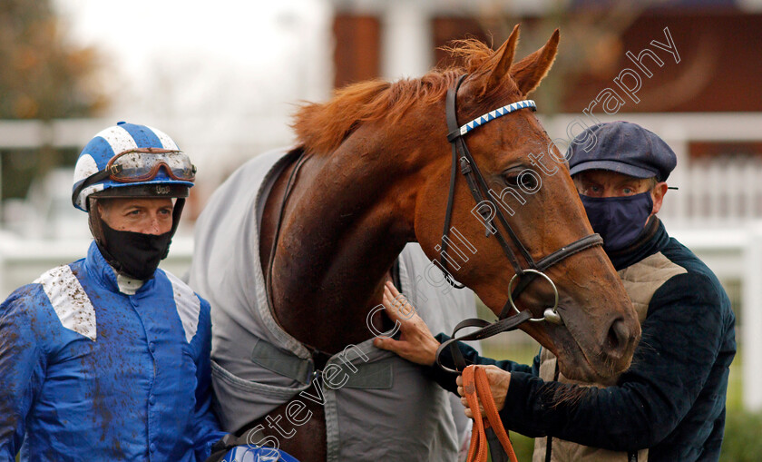 Zeyaadah-0009 
 ZEYAADAH (Jim Crowley) after winning The British Stallion Studs EBF Montrose Fillies Stakes
Newmarket 31 Oct 2020 - Pic Steven Cargill / Racingfotos.com