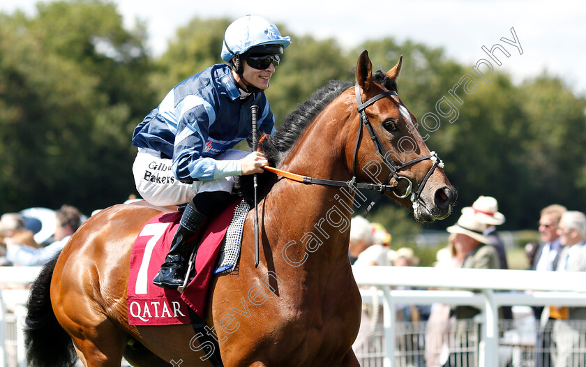 Drogon-0001 
 DROGON (Richard Kingscote)
Goodwood 31 Jul 2018 - Pic Steven Cargill / Racingfotos.com