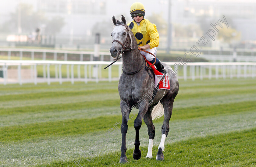 Portamento-0001 
 PORTAMENTO (Sam Hitchcott) Meydan 10 Mar 2018 - Pic Steven Cargill / Racingfotos.com