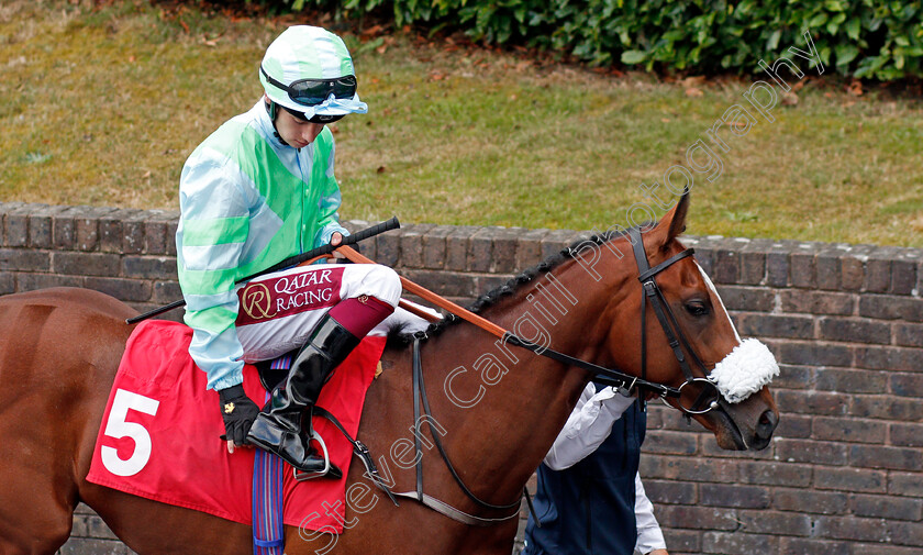 Qinwan-0001 
 QINWAN (Oisin Murphy)
Sandown 8 Aug 2019 - Pic Steven Cargill / Racingfotos.com