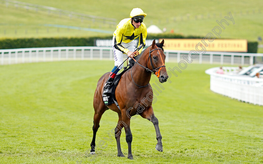 Caturra-0001 
 CATURRA (Adam Kirby)
Goodwood 29 Jul 2021 - Pic Steven Cargill / Racingfotos.com