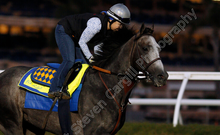 Arrogate-0009 
 ARROGATE training for The Breeders' Cup Classic at Del Mar 2 Nov 2017 - Pic Steven Cargill / Racingfotos.com