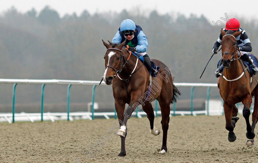 Melakaz-0004 
 MELAKAZ (Marco Ghiani) wins The Betway Handicap
Lingfield 25 Jan 2022 - Pic Steven Cargill / Racingfotos.com