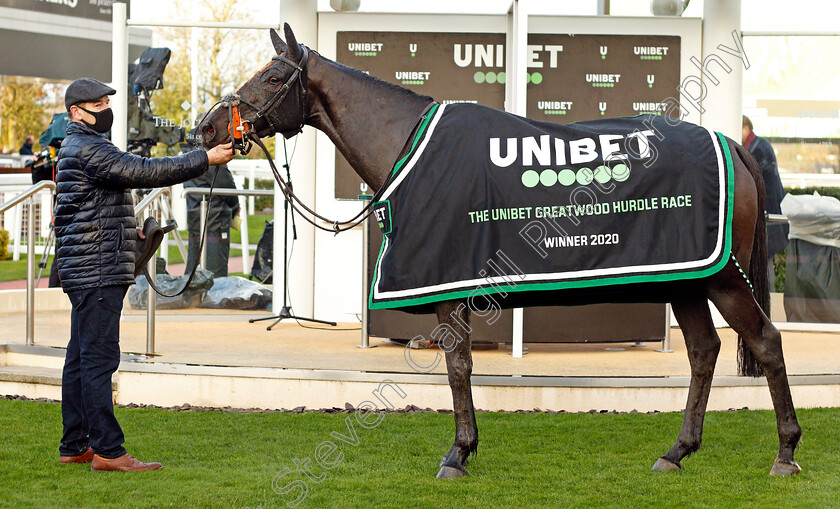 The-Shunter-0013 
 THE SHUNTER after The Unibet Greatwood Hurdle
Cheltenham 15 Nov 2020 - Pic Steven Cargill / Racingfotos.com