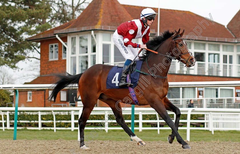 Zhukovsky-0001 
 ZHUKOVSKY (Darragh Keenan)
Lingfield 14 Feb 2020 - Pic Steven Cargill / Racingfotos.com