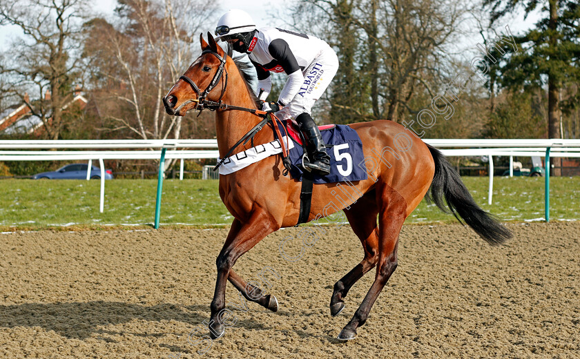 Gurkha-Girl-0001 
 GURKHA GIRL (Ryan Moore) winner of The Play Ladbrokes 5-A-Side On Football Fillies Novice Stakes
Lingfield 13 Feb 2021 - Pic Steven Cargill / Racingfotos.com