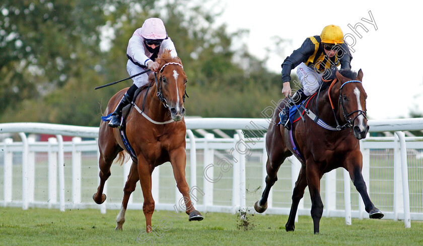 Apollo-One-0002 
 APOLLO ONE (left, Martin Harley) beats WHENTHEDEALINSDONE (right) in The Weatherbys TBA Conditions Stakes
Salisbury 1 Oct 2020 - Pic Steven Cargill / Racingfotos.com