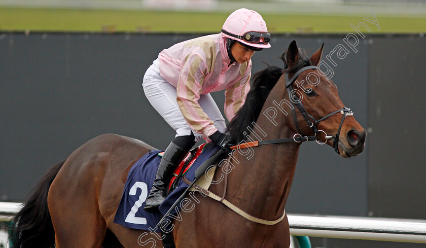 Shan-Dun-Na-Ngall-0001 
 SHAN DUN NA NGALL (Nicola Currie) Lingfield 21 Nov 2017 - Pic Steven Cargill / Racingfotos.com