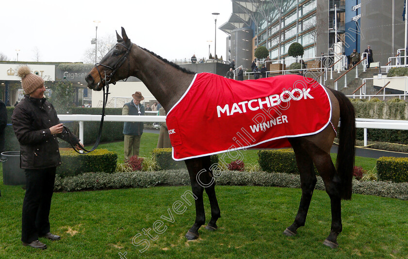 Blue-Flight-0011 
 BLUE FLIGHT after The Matchbook Amateur Riders Handicap Chase
Ascot 19 Jan 2019 - Pic Steven Cargill / Racingfotos.com