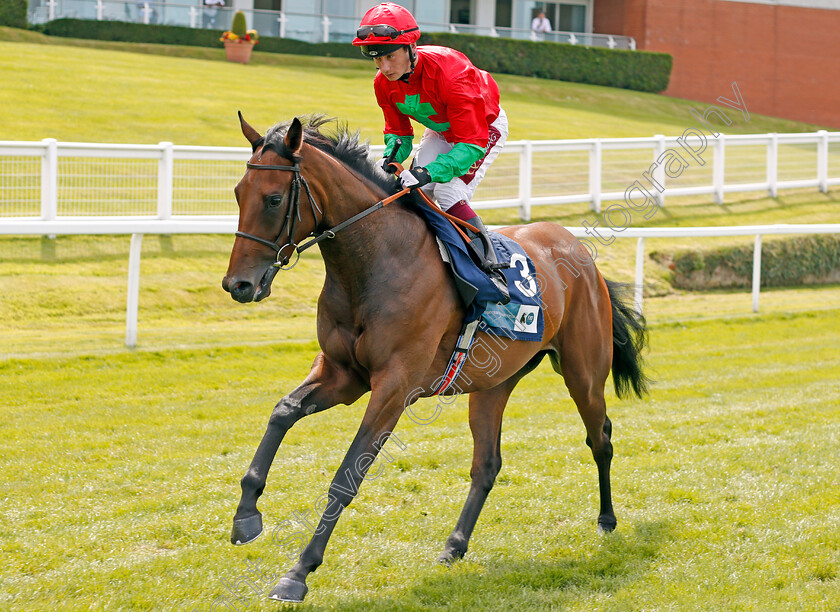 Romsey-0001 
 ROMSEY (Oisin Murphy)
Sandown 25 Jul 2019 - Pic Steven Cargill / Racingfotos.com