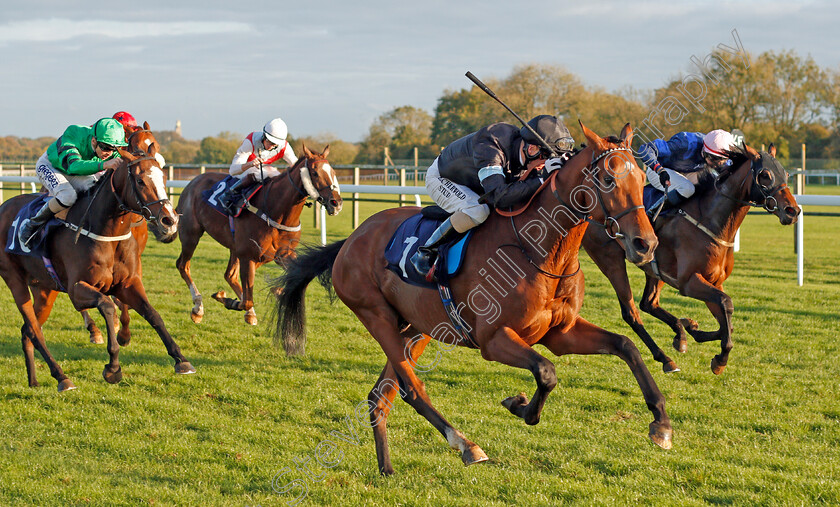 Manucci-0004 
 MANUCCI (Martin Dwyer) beats BEER WITH THE BOYS (right) in The Starsportsbet.co.uk Handicap
Bath 16 Oct 2019 - Pic Steven Cargill / Racingfotos.com