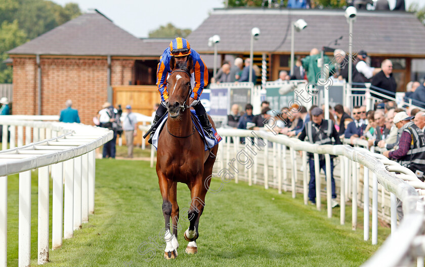 Heavens-Gate-0001 
 HEAVENS GATE (Ryan Moore)
York 22 Aug 2024 - pic Steven Cargill / Racingfotos.com