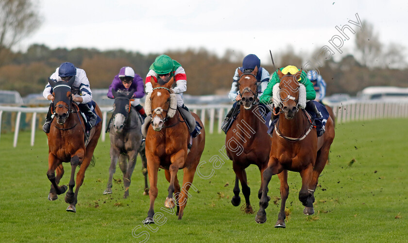 Dapper-Valley-0006 
 DAPPER VALLEY (right, Tom Marquand) beats DASHING DICK (centre) in The Join Moulton Racing Syndicate Handicap
Yarmouth 22 Oct 2024 - Pic Steven Cargill / Racingfotos.com