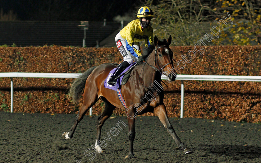 Something-Enticing-0001 
 SOMETHING ENTICING (Hayley Turner)
Kempton 2 Dec 2020 - Pic Steven Cargill / Racingfotos.com