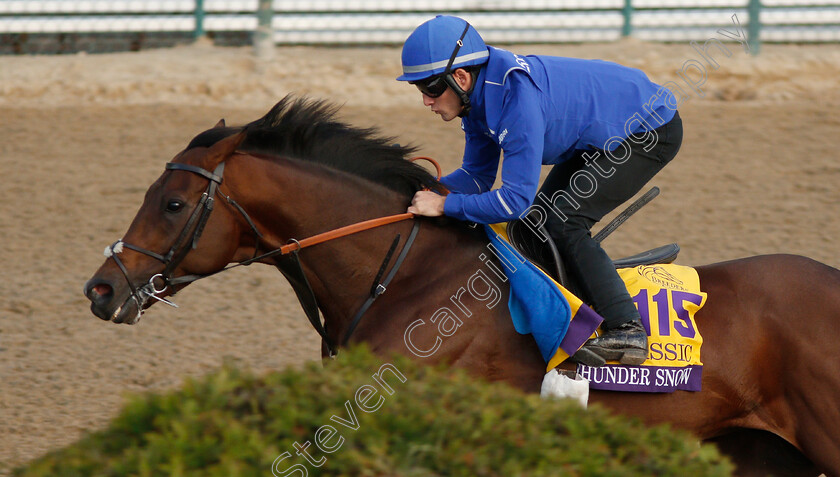 Thunder-Snow-0003 
 THUNDER SNOW exercising ahead of The Breeders' Cup Classic
Churchill Downs USA 31 Oct 2018 - Pic Steven Cargill / Racingfotos.com