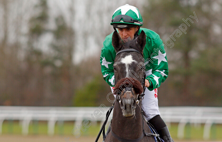 Temeraire-0001 
 TEMERAIRE (Josephine Gordon) Lingfield 6 Dec 2017 - Pic Steven Cargill / Racingfotos.com